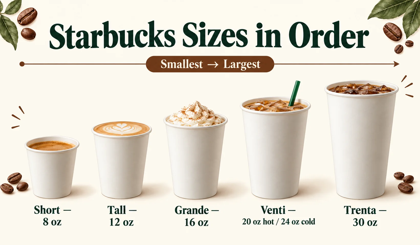 Starbucks sizes in order from Short to Trenta smallest to largest